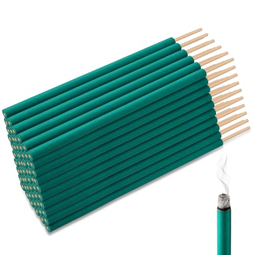 Qualirey 60 Pcs Citronella Incense Sticks, Green Citronella Sticks for