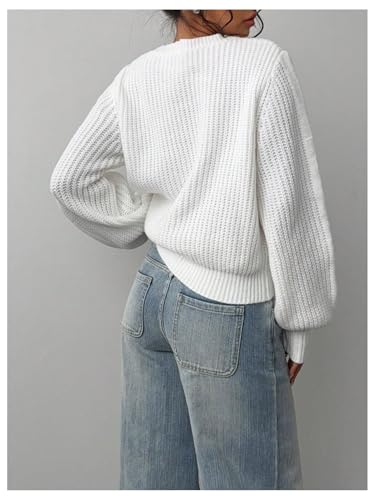 WDIRARA Women's Ribbed Knit Pullover Sweater Long Lantern Sleeve Crew Neck Knitwear Tops2