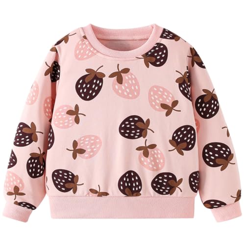 Image of Hongshilian Unisex Kids Cute Cartoon Cotton Sweater Shirt