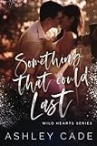 Something That Could Last (Wild Hearts)