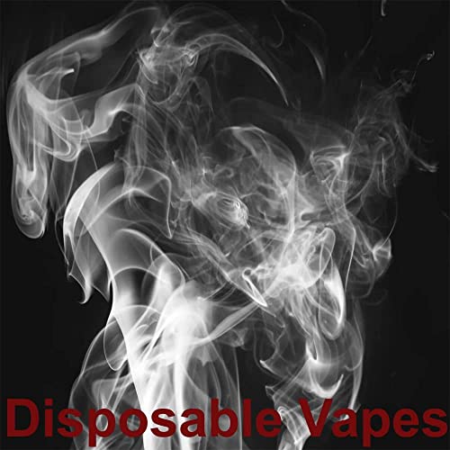 RandM-Paradise-10000-Puffs-Rechargeable-Disposable-Vape-Pens-Puffs-Starter-Kit-Fruity-Flavours-E-Cigarettes-No-Nicotine-2ml-Cartridge-Capacity-Draw-Activated-Vape-Pen-Strawbery-Watermelon