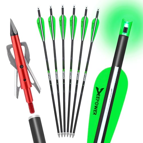 DEEPOWER 6 Pack Crossbow Bolts 20 inch with Broadheads 100 Grain and 7.62mm Lighted Nocks Crossbow Arrows for Hunting and Practice (Green)