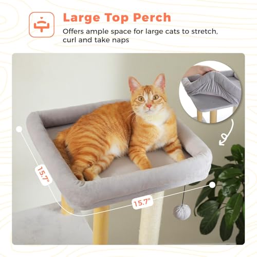 Image of 53 inch Modern Wooden Cat Tree for Large Cats with Solid Wood Posts