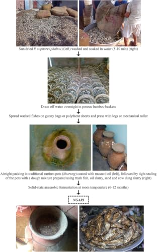 Ngari Fermented Fish of Manipur / 200 Gram