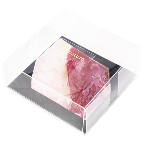 h(FUJIEI) B-nature WG[Ό r[ Ruby | Ō`Ό ΂ \[v tOX    VR  A OZ Mtg v[g  킢 { BN-038