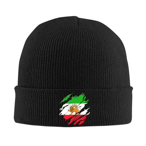 Bonnet tricot lion persan iranien chaud doux unisexe automne