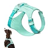 BuddyArmor Hundegeschirr, leicht, kein Ziehen, Haustiergeschirr mit Tasche, Hundeweste mit zwei...