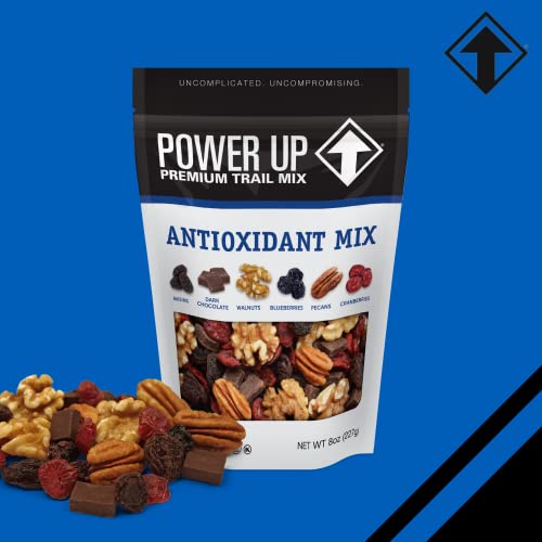 Power Up Antioxidant Trail Mix By Gourmet Nut, Dried Fruit & Nuts Mix, Raisins Dark Chocolate Walnuts Blueberries Pecans & Cranberries - Keto & Paleo Non GMO Vegan Gluten Free, 8oz Bags (Pack of 4)
