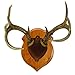 Walnut Hollow Deluxe Antler Display Kit, Cherry