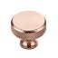 Champagne Bronze