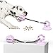 Ncheli Juguete Molar Multifuncional ,Juguete Ventosa Perro Dog Chew Toy Pelota de Juguete para Perros de Dientes con Función de Cuidado Dental para Perro