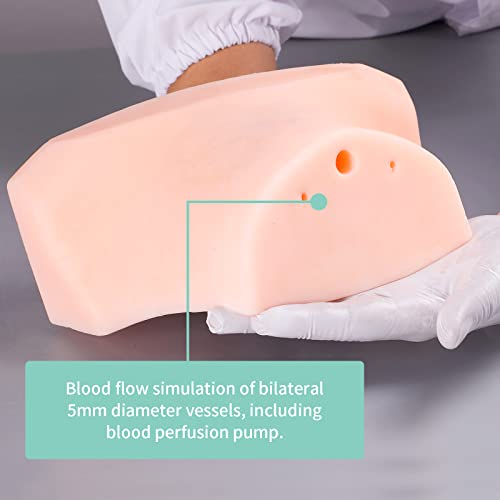 Image of Ultrasound Guided Thyroid Puncture Phantom Thyroid biopsy Puncture Practice Training, Cell biopsy, Focus radiofrequency Ablation Practice, Training Teaching Demonstration