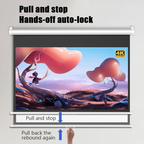 Pantalla de proyector manual 60 pulgadas 16:9 miniatura 3