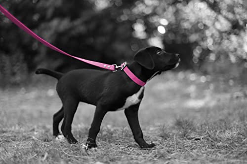 L'Atelier du Fourmilier Dog Collar and Leash in BioThane material, Medium Width (45-55 cm, Fuchsia), 45-55cm - Image 2