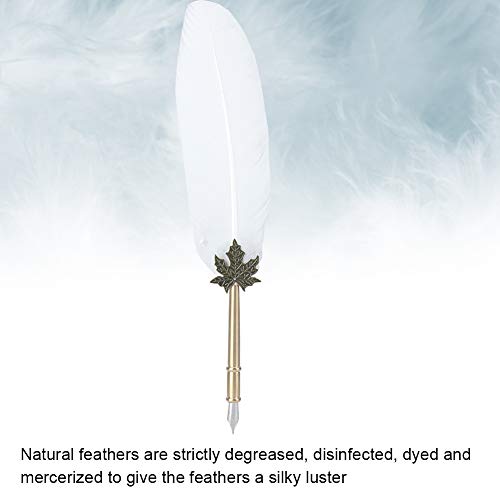 Nunafey Vintage Quill Set, Calligraphy, Stationery Gift Box Writing Instrument Stainless Steel Nibs Dip Pen Dip Ink Feather Pen for Home Gift Friends School(White)