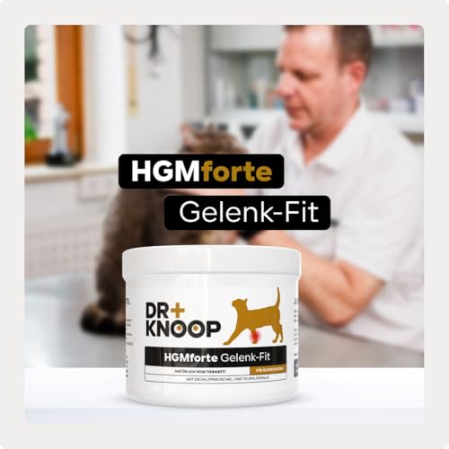 HGM Gelenkpulver für ältere Katzen - mit Grünlippmuschel, Teufelskralle & Glucosamin für mehr Bewegungsfreude, entwickelt vom Tierarzt Dr. Knoop, mit leckerem Vanille Geschmack, 220g