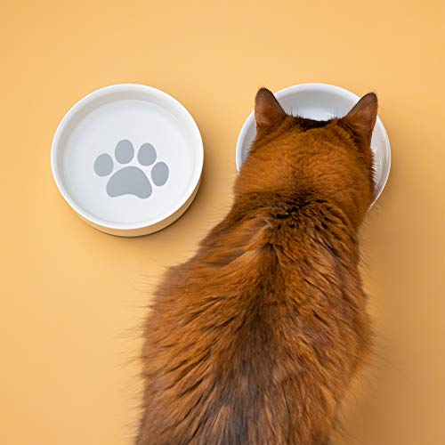 Navaris 2X Hundenapf Futternapf Fressnapf - Futterschüssel Napf Set für Hunde Katzen - Näpfe mit Silikon Boden - spülmaschinenfest rutschfest