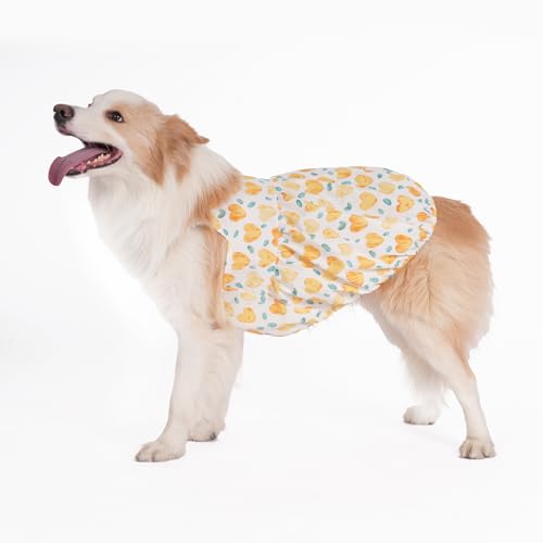 Robe de princesse pour chien en coton de qualité supérieure taille 4XL - 6