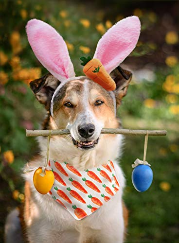 Diadema con Orejas de Conejo para Perros y Bandana de Pascua miniatura 6