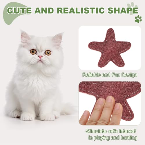 Jouet chat herbe à chat résistant pour stimuler l'instinct de jeu - 12