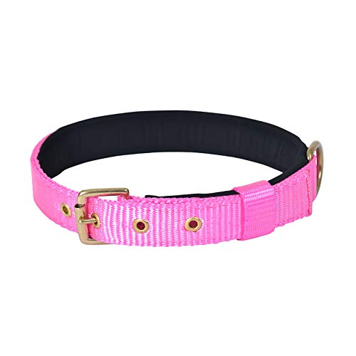 FORFURS Pin Buckle Dog Collar Neck Belt For Cats And Puppy-Extra Small, Hot Pink,33 cm,W_1.3 cm
