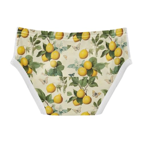 Boys' Exclusive Briefs Toddler Underwear 95% Combed Cotton Boxerbriefs 2T Lemon Butterfly Leaf 652