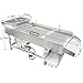 TECHTONGDA Straight Vibrating Sieve Screen Shaker Electric Linear Sifter Machine Stainless Steel One Layer One Motor 11.8 * 29.5inch Screen Size with 2 * 20mm Long Strip Hole Mesh 110V