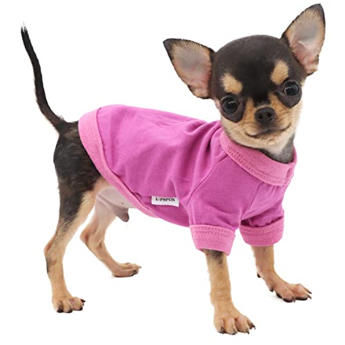 Lophipets 100% Cotton Dog Tee Shirt For Small Dogs Teacup Chihuahua Yorkie Puppy Clothes-Purple/Xs #TOP9