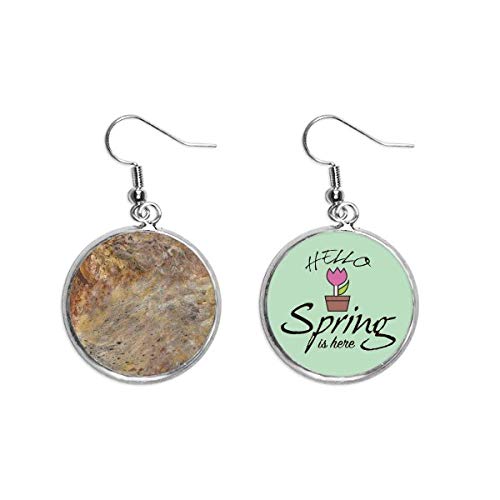 Pendientes de primavera estilo marmol gris colgante decorativo retro para vestidos de mujer