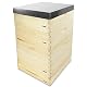 Bienenstock Apiformes Dadant US (DAD) 12 Waben Beute aus Weymouthskiefer