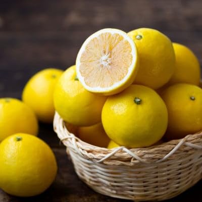 (愛媛名産)玉宝ニューサマーオレンジ 4kg(C64-37)