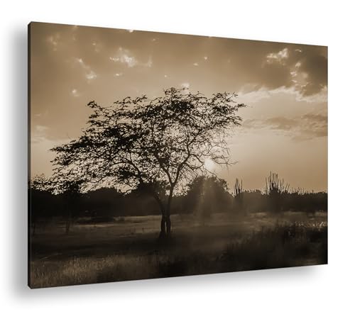 Toile Isla Margarita coucher de soleil deyoli cadre bois véritable