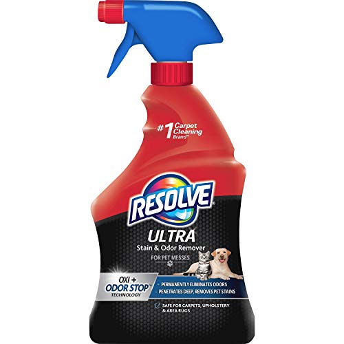 Best Carpet Cleaner Spray For Pets