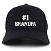 Trendy Apparel Shop Number 1 Grandpa Structured High Profile Trucker Cap - Black