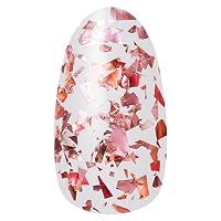Amazon | ネイルホリック ラメフレークカラーズ PK048R 5mL | NAIL