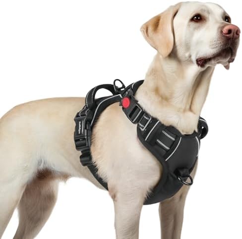rabbitgoo Medium Dog Harness with 3 Buckles, Neck Release, Adjust...
