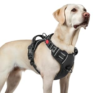 rabbitgoo Harnais Chien avec 3 Boucles, Facile à Mettre et à Enlever, Harnais Anti Traction pour Chien avec Poignée et Attache Devant, Réglable, Réfléchissant, Arnet pour Chiens Grand, Noir, L