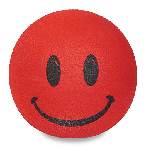 Tenna Tops Car Antenna Topper/Auto Mirror Dangler/Dashboard Accessory (Red Happy Face)