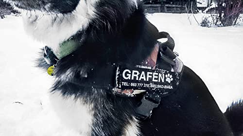 Leuchtender Shop Klettsticker - Personalisiertes Hundegeschirr - Klett Patch Selbst Gestalten - Aufnäher - Leuchtend - Schwarz - 16x5cm