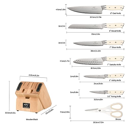 NANFANG BROTHERS Damascus Knife Sets, 10 Pieces for Kitchen with Block, Kitchen Knife Set with Block, ABS Ergonomic Handle for Chef Knife Set and Kitchen Shear