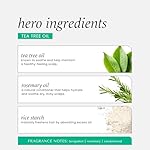 HASK Tea Tree Invigorating Dry Shampoo for Oily, Itchy Scalps – Absorbs Oil, Rebalances Scalp, Hypoallergenic, No Sulfates or Parabens, Cruelty-Free – 8.1oz - Image 5