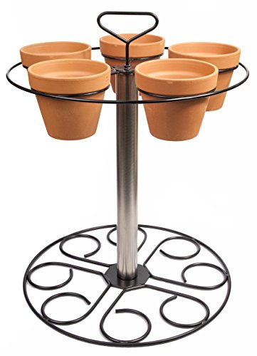 Ssdi Brushed Stainless Steel Plant Stand ~ Holds Five 6 Inch Pots ~ 20 Inch Height ~ Carrying Handle Included #TOP16