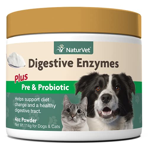 The Best Dog Digestive Enzymes of 2021 Pet Life Today