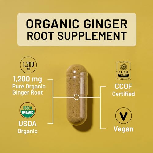 Image of NatureWise Organic Ginger Root 1200mg - USDA Organic - Certified Organic by CCOF - Digestive Comfort & Immune System Support - Vegan - Non-GMO - USA Manufactured - 90 Capsules[45-Day Supply]