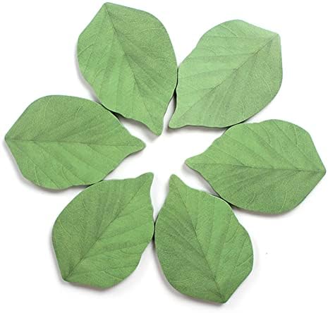 Warmtree 300 Sheets Leaf Sticky Notes, Cute Plant Sticky Notes,6 Pads image 3