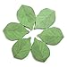 300 Sheets Leaf Sticky Notes Memo Pad Paper Sticker Pads (50 Sheets/Pad x 6 Pads)