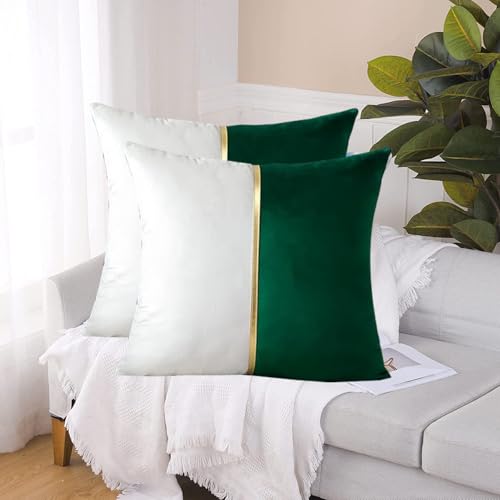 Image of HIMS Velvet Sofa Pillow Cover Set of 2, Luxury Cushion Cover 18 inch x 18 inch for Decorative Living Room Sofa Bedroom Car (18x18 Inch, Green)
