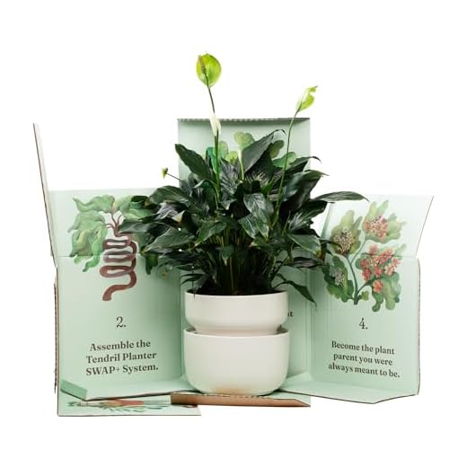 Tendril The SWAP+ Self-Watering Planter | 10" Ceramic Indoor Pot with Air-Pruning Liner, Tools & Repotting Mat