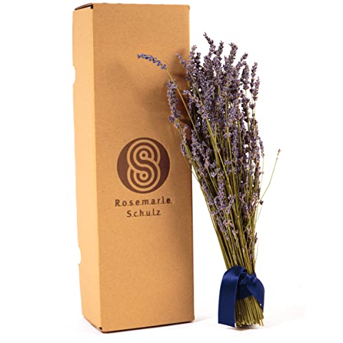 ROSEMARIE SCHULZ Heidelberg Bouquet Lavande séchée française Environ 100-150 brins de Fleurs de Lavande de Provence récolte 2022