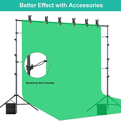 Fudesy Backdrop Stand, 8.5X10Ft Photo Back Drop Adjustable Stand For Parties, Photography Background Support System Kit For Photoshoot Video Studio With Clips Clamps, Sandbag And Carry Bag #TOP6